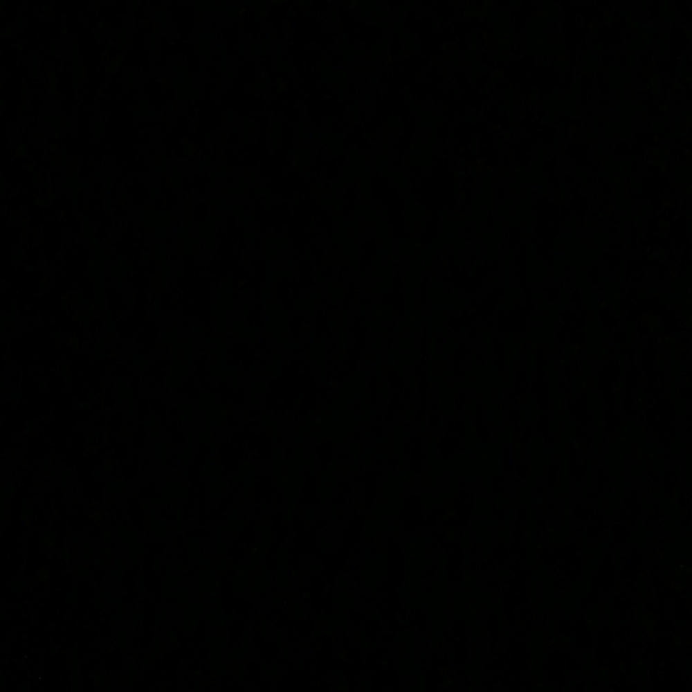 Meet your Posher, Riley